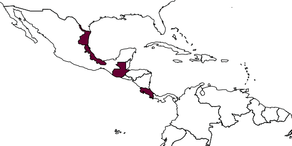 map of Montezumia huasteca     Saussure, 1857